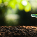 Restaurer la nature et structurer l’action.  La nouvelle stratégie du Gouvernement wallon pour renforcer la biodiversité