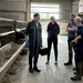 La Wallonie investit 680.000 euros pour lutter contre la pénurie de vétérinaires ruraux