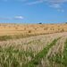 Sécheresse exceptionnelle : la Wallonie adapte temporairement les règles du PGDA pour soutenir les agriculteurs