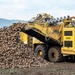 La Belgique soutient une mesure européenne pour maintenir une filière betteravière et sucrière forte